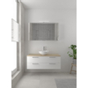 Bruynzeel Combo badmeubelset 120x45cm 2 wasbakken 4 lades met spiegelkast met softclose ceramic mat wit SW383574 Bruynzeel Combo badmeubelset 120x45cm 2 wasbakken 4 lades met spiegelkast met softclose ceramic mat wit SW383574