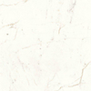 Ceralto Biancoro Polished Carrelage de sol - 59,5x59,5cm - 9,0mm - rectifié - Cal.prestig. SW1129985