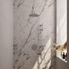 BRAUER Chrome Edition inbouw regendoucheset – Ø30 cm hoofddouche – gebogen wandarm – staafhanddouche – 3-weg – glijstang SW1158989