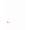 Plieger Roma patère simple or SW454411