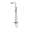 IVY Pact Ensemble douche pluie - mural - pomme de douche slim 20 cm - douchette 3 jets - Noir Chrome PVD SW1034860