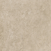ÉCHANTILLON Terravito Tenuta Carreau de sol et de mur - 60x60cm - 8mm - rectifié - (Taupe) SW1221704