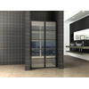 Wiesbaden Horizon Porte de niche avec partie fixe et grille 1000 x 2000 x 8mm verre clair nano/noir mat SW373469