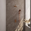 BRAUER Copper Edition inbouw regendoucheset – Ø20 cm hoofddouche – 40 cm gebogen wandarm – ronde handdouche – met omstel SW538367