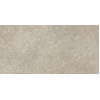 ÉCHANTILLON Terravito Elzino carreau mural et de sol - 30x60cm - rectifié - Aspect pierre naturelle - Grey mat (gris) SW1221597