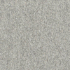 Ceralto Alabro Vein Vloertegel - 60x60cm - 9.0mm - gerectificeerd - Serizzo stone SW1245227