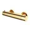 Hotbath Buddy Robinet de douche thermostatique avec flexible raccord dessous 1/2" laiton poli PVD SW229773 Hotbath Buddy Robinet de douche thermostatique avec flexible raccord dessous 1/2" laiton poli PVD SW229773