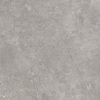 ÉCHANTILLON Terravito Unicoa carreau mural et de sol - 60x60cm - 9mm - rectifié - Gris SW1221631