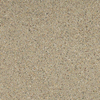 Ceralto Briano Grain Carrelage de sol - 60x60cm - 10.0mm - rectifié - Miele SW1174901