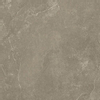 Beste koop Harmony carreau de sol et de mur 100x100cm 8.5mm anti-gel rectifié taupe mat brun SW543593