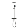 GROHE Tempesta 210 doucheset - mat zwart SW1477618