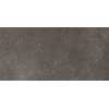 Ceralto Ivarno Core Carreau de sol - 30X60 - 10mm - mat - gris foncé SW1578958