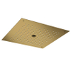 Hotbath Mate Hoofddouche Inbouw - hoofddouche vierkant - 38x38cm - met Waterpilaar - PVD - geborsteld messing (goud) SW677736