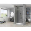 Van Rijn Products ST08 Porte pivotante de niche - 100x200cm - verre clair - épaisseur 8mm - 2 pièces - profilé mural - barre de stabilisation - inox SW956353