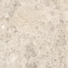 SAMPLE Ragno Eterna Carrelage sol et mural - 60x60cm - 8.5mm - rectifié - R10 - porcellanato Beige SW915203