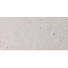 Italgranit silv.grain carreau de sol 60x120cm 9,5 avec antigel rectifié gris mat SW497766
