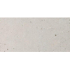 Italgraniti Silver grain Carrelage de sol et de mur 60x120cm 9.5mm rectifié grès cérame Grey SW497766