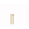 Romadoucheslang métal brossé or SW454415