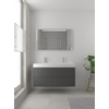 Bruynzeel Box badmeubelset 120x45cm 2 kraangaten 1 wasbak 2 lades met spiegel met softclose composite grafiet SW383974 Bruynzeel Box badmeubelset 120x45cm 2 kraangaten 1 wasbak 2 lades met spiegel met softclose composite grafiet SW383974
