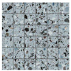Terravito Damico Carrelage sol et mur - 30x30cm - gris mat SW997370