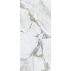 Terravito Covella pour carrelage mural et de sol - 120x60cm - 9mm - rectifié - Gris SW1175385