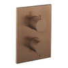 Crosswater MPRO Crossbox 1 cadre de sortie et clapets bronze brossé SW1176878