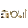 Wiesbaden Caral one-pack inbouwthermostaatset rond type 401 geborsteld messing (goud) 20cm SW385032 Wiesbaden Caral one-pack inbouwthermostaatset rond type 401 geborsteld messing (goud) 20cm SW385032