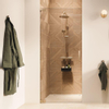 Sealskin Pure Porte de niche - 80x200cm - verre clair - 8mm - couche anticalcaire - or brossé SW1079877