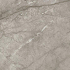 Ceralto Calisto Luxe Carrelage de sol - 59.5x59.5cm - 9.0mm - rectifié - Silver majestic SW1130077