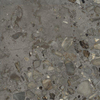 Ceralto Elaris Oak Vloertegel - 60x60cm - 9.0mm - gerectificeerd - Antracite SW1474044