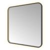 Hotbath &MORE Spiegel - 80x80cm - direct en indirect LED - spiegelverwarming - color changing - dimbaar - met afstandsbediening - PVD - geborsteld zwart SW1246095
