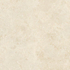 Ceralto Alabro Vein Vloertegel - 60x60cm - 9.0mm - gerectificeerd - Montpellier SW1431030
