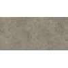 Ceralto Calisto Luxe Vloertegel - 59.5x119.5cm - 9.0mm - gerectificeerd - Grigio eleg. SW1130042