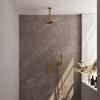 Brauer Gold Edition Ensemble de douche pluie encastré - douche principale 20cm - bras plafond 20cm - 2 fonctions - incluant partie encastrable - douchette à main 1 fonction - PVD - or brossé SW547680