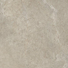 Ceralto Amaro Plank Vloertegel - 80x80cm - 9.0mm - gerectificeerd - Dove SW1473955