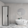 Aqua Vista Diasi porte de douche - 70x200cm - pour niche - porte pivotante - 2 éléments - noir mat SW975739