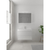 Bruynzeel Box badmeubelset 90x45cm 1 kraangat 1 wasbak 2 lades met spiegelkast met softclose composite glans wit SW384001 Bruynzeel Box badmeubelset 90x45cm 1 kraangat 1 wasbak 2 lades met spiegelkast met softclose composite glans wit SW384001