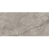 Ceralto Calisto Luxe Carrelage de sol - 59.5x119.5cm - 9.0mm - rectifié - Silver majestic SW1129962