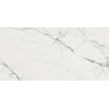 Ceralto Carraro Vein Carrelage de sol - 59.6x119.4cm - 8.5mm - rectifié - Statuario light SW787188