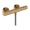 Hansgrohe Ecostat Element opbouw douchethermostaat Brushed Bronze SW1566536