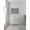 Bruynzeel Box badmeubelset 90x45cm 1 kraangat 1 wasbak 2 lades met spiegel met softclose composite glans wit SW383949 Bruynzeel Box badmeubelset 90x45cm 1 kraangat 1 wasbak 2 lades met spiegel met softclose composite glans wit SW383949