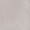 Ceralto Dolomia Carrelage de sol - 59.6x59.6cm - 9.0mm - rectifié - Ash SW643443