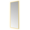 Hotbath &MORE Spiegel - 30x80cm - direct en indirect LED - color changing - dimbaar - met afstandsbediening - PVD - geborsteld messing goud SW1246041