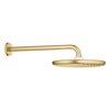 GROHE Tempesta 250 set douche de tête - 25cm - 38cm - rond - cool sunrise brossé (doré) SW1587941