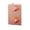 Wiesbaden Caral afbouwdeel therm. 2 weg geborsteld koper SW373305 Wiesbaden Caral afbouwdeel therm. 2 weg geborsteld koper SW373305
