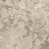Ceralto Elaris Oak Vloertegel - 60.4X60.4 - 9mm - mat - moss SW1591302