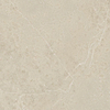 ÉCHANTILLON Terravito Allora carreau mural et de sol - 60x60cm - rectifié - Aspect béton - Sand mat (beige) SW1130831