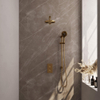 BRAUER Gold Edition inbouw regendoucheset – Ø20 cm hoofddouche – 40 cm rechte wandarm – ronde handdouche – met omstel SW547682