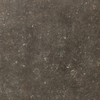 ÉCHANTILLON Ceralto Regalia Luxe 600X600 Elemental Désir Mat SW1122951