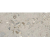 ÉCHANTILLON Ceralto Nobile Polished Carreau VL 600X1200 Sassi Grigio pol-Mat 9mm Ret. SW1449506